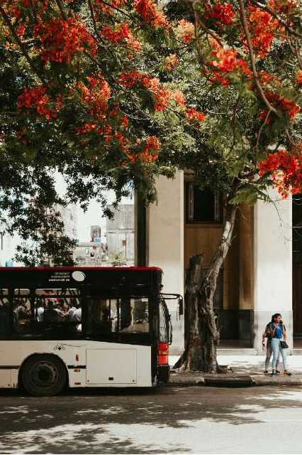 Fernbus